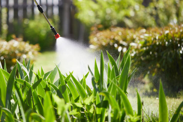 24/7 Emergency Cockroach Control experts in Syracuse, IN